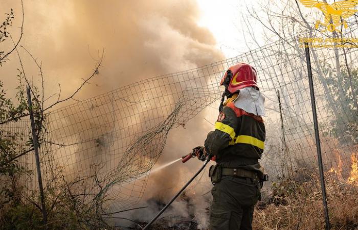 Otro día de incendios en Cerdeña: 13 incendios hoy | Noticias