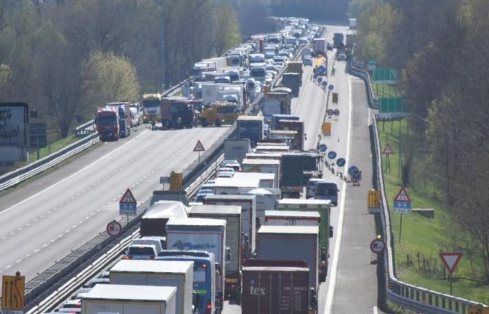 Centauro pierde la vida en una trágica colisión en la A1 de Bolonia