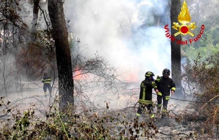 Se han iniciado controles por parte de voluntarios de Protección Civil en las zonas verdes por riesgo de incendio