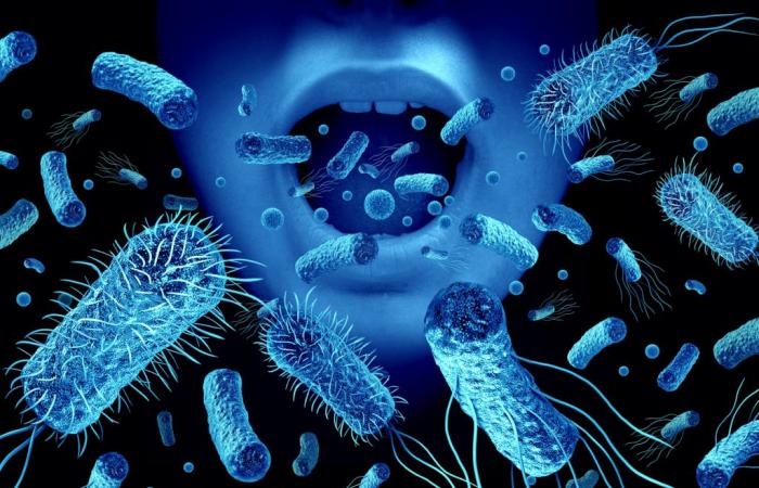 La relación entre las bacterias orales y el cáncer de colon