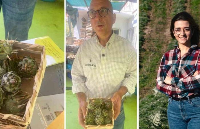 De Lombardía a Calabria para dirigir la empresa familiar que produce las raras alcachofas silvestres espinosas