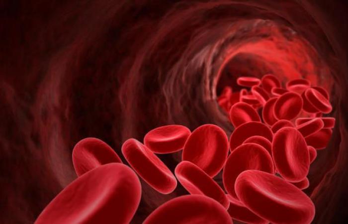 Día Mundial de la Anemia Falciforme: el libro “SANGRE falciforme” presentado en el Senado