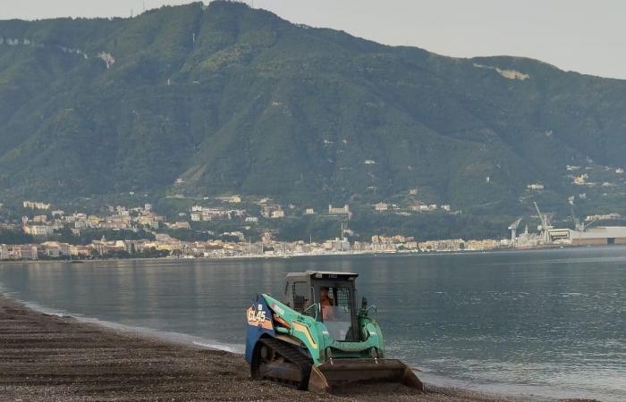 Operación Playa Limpia: ahora podrás plantar tu sombrilla en la playa libre