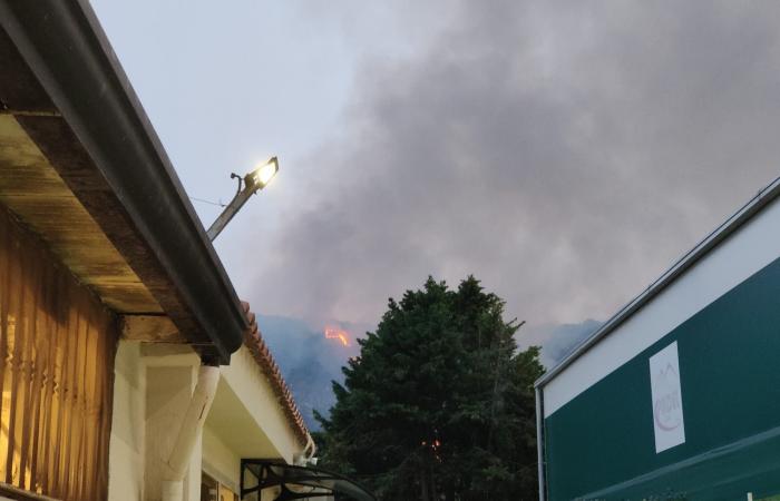 Incendio nocturno en la colina de Camaldoli: más de 100 bomberos implicados