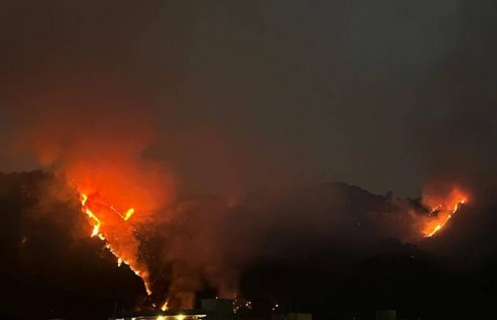 Nápoles, incendio en la colina Camaldoli: las llamas lamen las casas