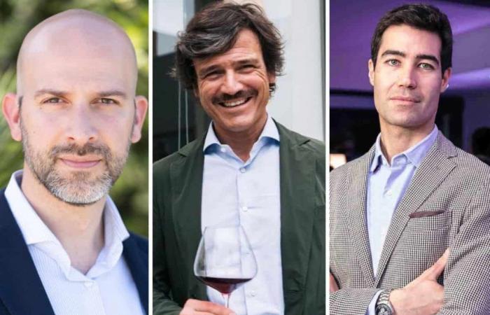 Los tres Masters of Wine italianos se unen para producir un vino increíble a partir de un viñedo abandonado en Marsala