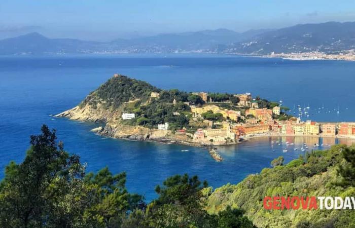 El mar más limpio de Italia | Ranking de regiones