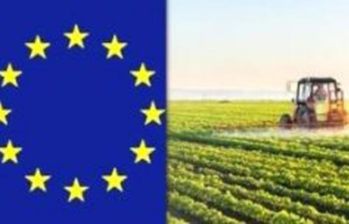 Agricultura y desarrollo rural, reunión con la Comisión Europea en Asís