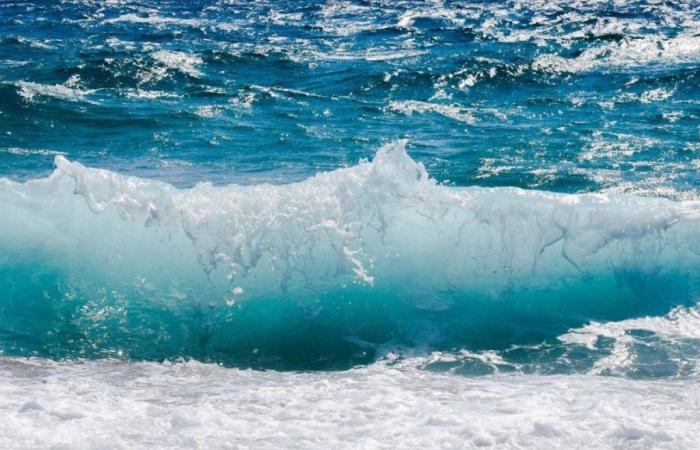 Apulia, Friuli y Cerdeña: ¿dónde está el mar más limpio de Italia 2024?