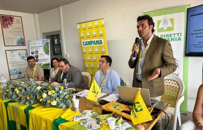 Coldiretti en Campania, nace el Consejo de Floricultura: trabajará junto a las empresas del sector