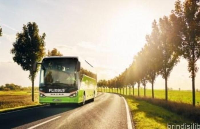 Brindisi: FlixBus refuerza su oferta para el verano y fortalece las conexiones con la zona