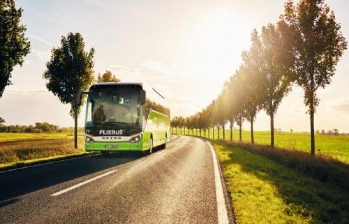 Avellino: FlixBus refuerza su oferta en la zona para el verano. Hacia Irpinia desde más de 30 ciudades italianas
