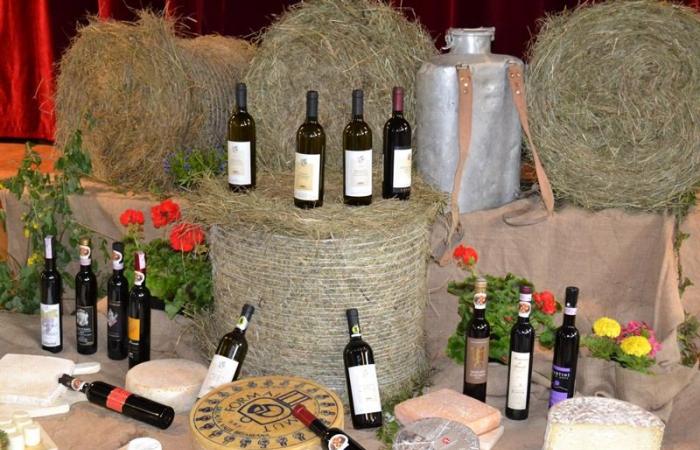 “Un pueblo de… vino”: un día de gustos y sabores del Alto Valle de Brembana
