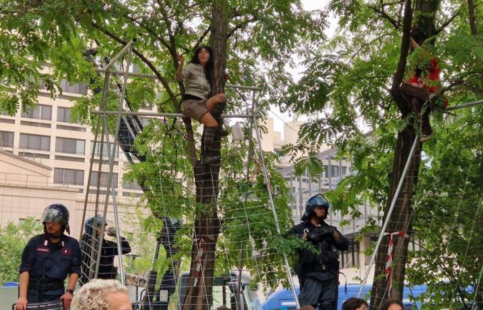 Enfrentamientos en Bolonia para protestar por salvar árboles: activistas arrastrados por la policía