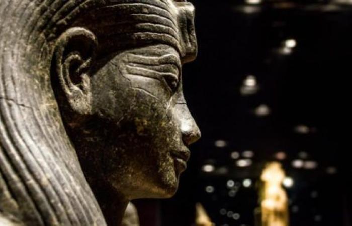 Turín – “Salven el Museo Egipcio”, científicos y arqueólogos salen al campo. ¿Quién será el nuevo director? – Noticias de Turín 24