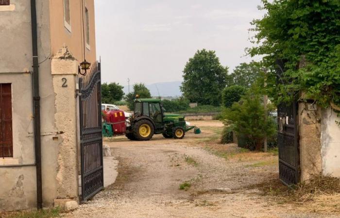 Vicenza, atropella a su mujer con el tractor en el patio de la finca familiar: la anciana murió poco después
