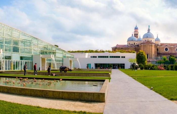 Turismo e investigación en Padua: un fin de semana entre ciencia y espiritualidad
