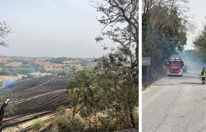 Incendio en Mogliano, llamas en un campo: vehículo agrícola involucrado. Llega el helicóptero de los bomberos de Pescara. El alcalde: «Se restablece el tráfico»