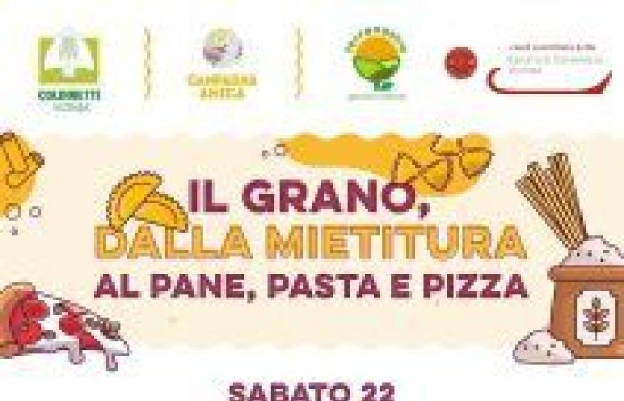 Pan, pasta y pizza: Campagna Amica Vicenza celebra el trigo