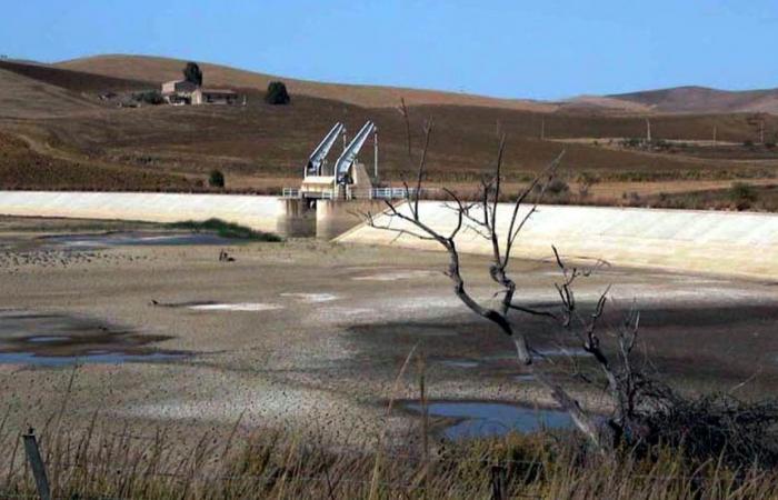La sequía en Sicilia, el llamamiento desesperado de los agricultores: «La Región debe darse prisa con los bonos»