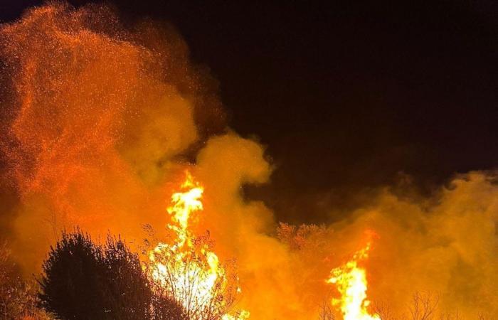 Incendios forestales: aquí está el orden de grave peligro para todo el territorio regional – Noticias