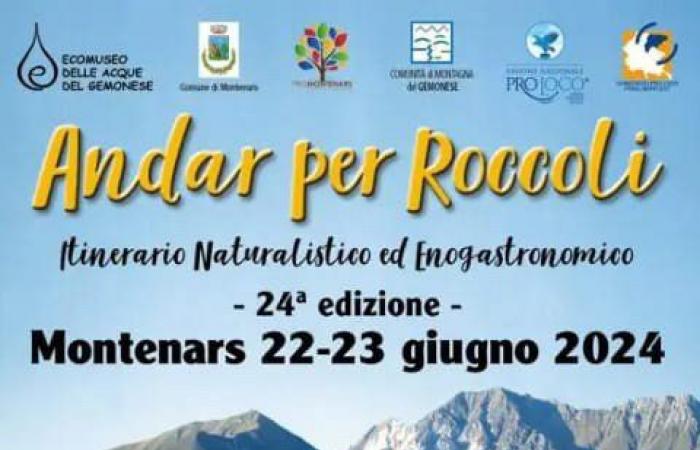 Fiestas y celebraciones en Friuli Venezia Giulia el fin de semana del 21, 22 y 23 de junio de 2024. Aquí están las mejores – Nordest24