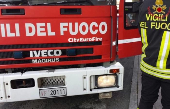 Catorce incendios en Sicilia, bomberos y trabajadores forestales intervenidos en toda la isla – BlogSicilia