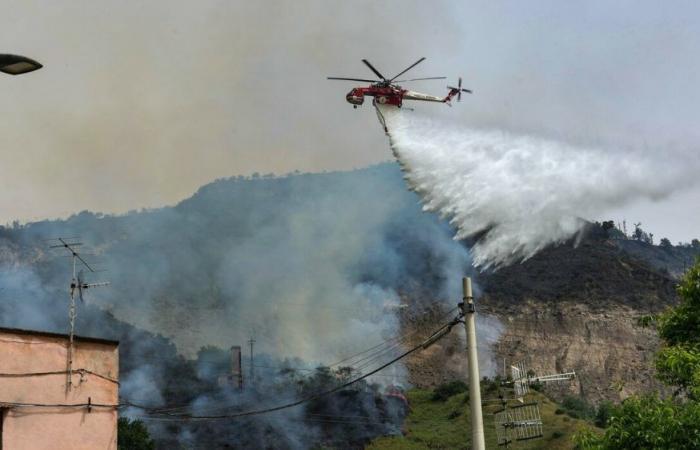 Nápoles, el incendio de Camaldoli se reanuda en el lado de Pianura: Canadair en acción