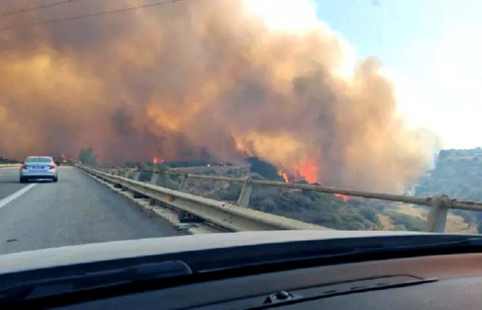 Prevención de incendios forestales, normas a seguir en la A24 y A25 según Strada dei Parchi