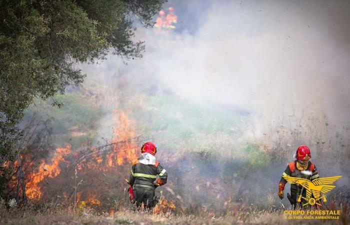 Incendio provocado en Usellus, detenido el presunto pirómano en serie