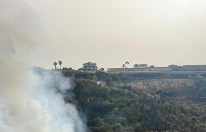 Incendio en Le Salzare, Ardea: Los bomberos trabajan incluso de noche. El Ayuntamiento: “A la espera de los datos de Arpa, mantener cerradas puertas y ventanas”. – Radio Estudio 93