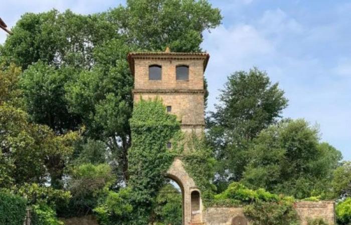 Unas vacaciones para descubrir y saborear la historia en las villas y castillos del Véneto