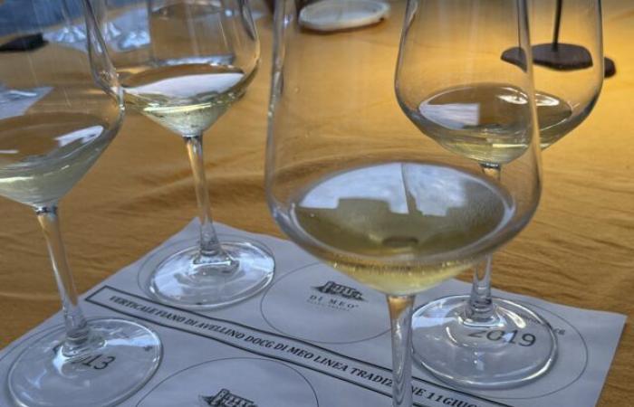 Vertical de Fiano di Avellino Linea Tradizione Di Meo de 2022 a 2006 – Blog de vinos Luciano Pignataro