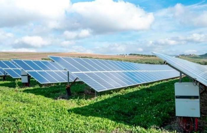“Corremos el riesgo de que los parques fotovoltaicos se conviertan en el nuevo paisaje agrícola de Emilia-Romaña”