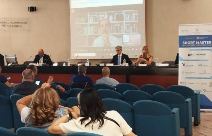 Crisis empresarial, expertos reunidos en la Cámara de Comercio de Avellino