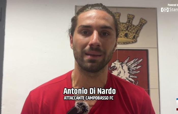 Liga profesional. Campobasso: Braglia quiere confirmar a Di Nardo – 21/06/2024 – TeleRegioneTV
