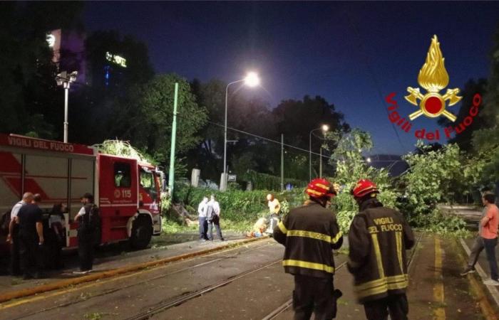 Mal tiempo en Lombardía, Granelli: “Milán rodeada de tormentas muy fuertes, 15 árboles caídos”. Las líneas de tranvía 12 y 14 han sido interrumpidas