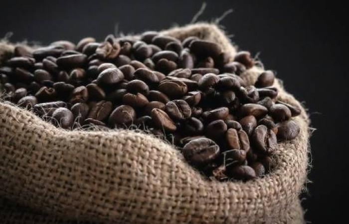 Viaje al mundo del café: cuánto impacta, cuál elegir, cómo prepararlo
