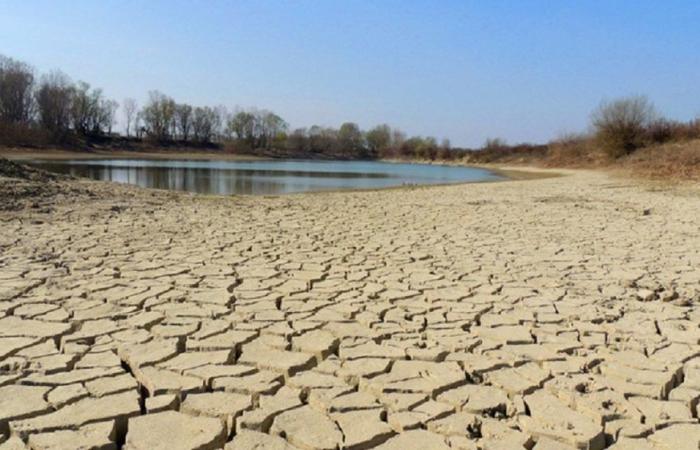 Calor extremo y sequía. Apulia se queda sin agua: «Estamos en emergencia»