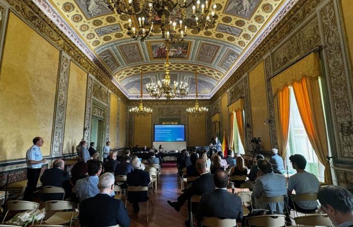 Formación en Sicilia: en 15 años, más de 13 mil empresas pertenecientes a FondItalia pagaron casi 12 millones de euros en contribuciones – BlogSicilia