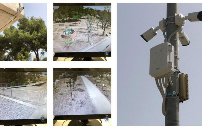 Crotone, nuevas cámaras y prevención de incendios en los Jardines y Museo de Pitágoras: seguridad 24 horas