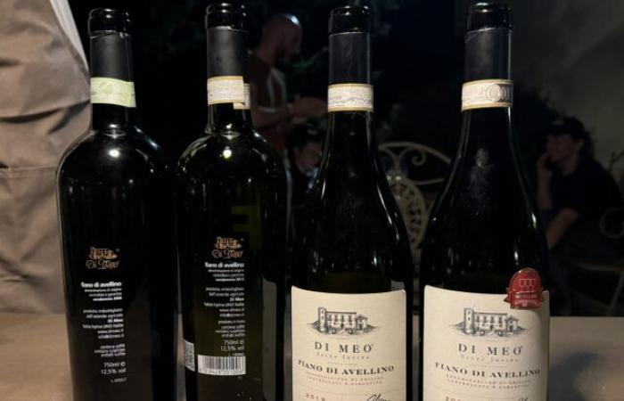 Vertical de Fiano di Avellino Linea Tradizione Di Meo de 2022 a 2006 – Blog de vinos Luciano Pignataro