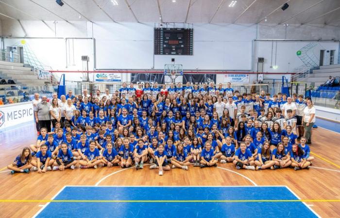 Entrenadores que creen en el proyecto y en el sector juvenil: aquí están los secretos de Voleibol Faenza