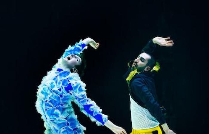 Reggio Emilia, temporada de danza de la Fundación I Teatri Reggionline – Telereggio – Últimas noticias Reggio Emilia |