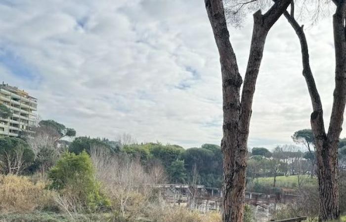 Labaro, en el parque Colli d’Oro, todo está listo para derribar al monstruo ecológico. Esto es lo que surgirá – ZONA NORTE DE ROMA