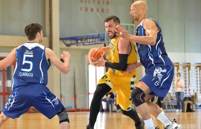 Baloncesto, CUS Pisa planifica la nueva temporada y comienza de nuevo con Francesco Fiorindi