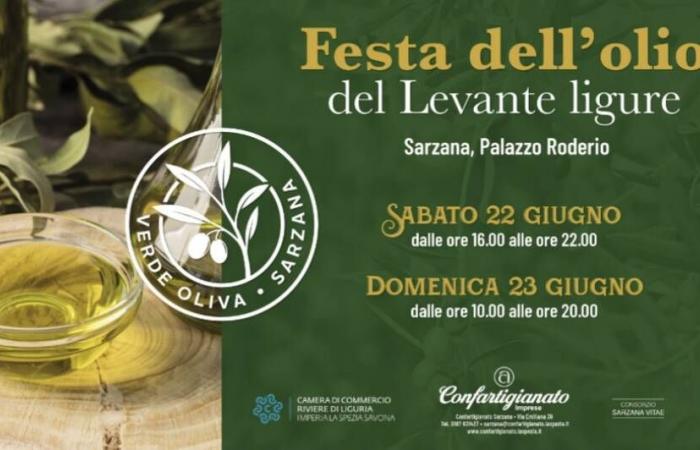 “Verde Oliva”, un fin de semana en Sarzana para celebrar el aceite de oliva virgen extra