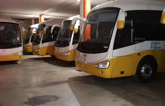 Transporte público, el Consejo Regional aumenta las conexiones hacia y desde Lamezia