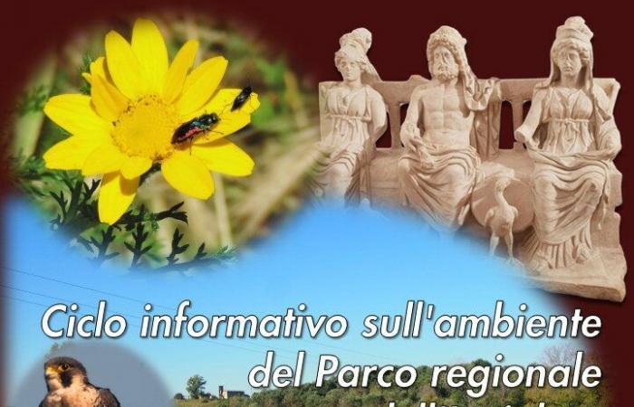 Guidonia – Inviolata Park, las asociaciones organizan un ciclo de eventos informativos: el programa