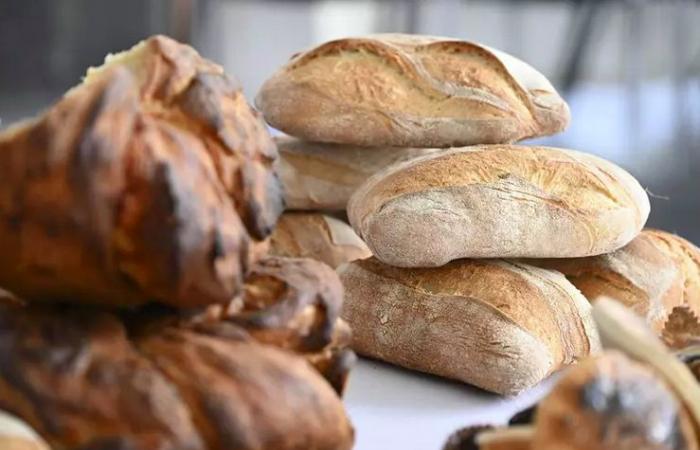 Las mejores panaderías de Sicilia premiadas por Gambero rosso: quiénes son los cuatro que ganaron el Tre Pani 2025
